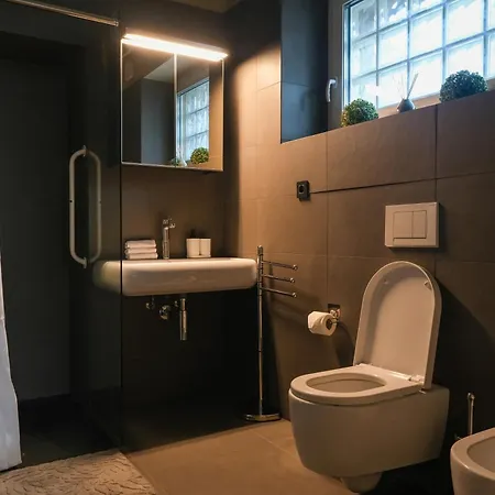 Apartment Hisa Breza - Ljubljana