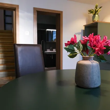 Hisa Breza - Apartment Ljubljana