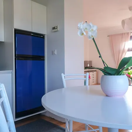 Hisa Breza - Apartment